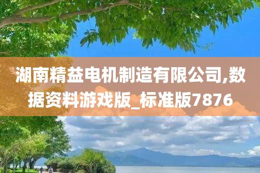 湖南精益电机制造有限公司,数据资料游戏版_标准版7876