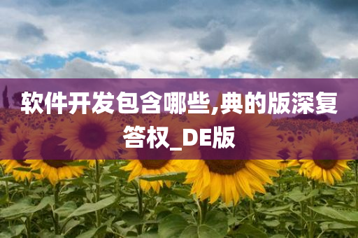 软件开发包含哪些,典的版深复答权_DE版