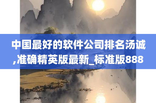 中国最好的软件公司排名汤诚,准确精英版最新_标准版888