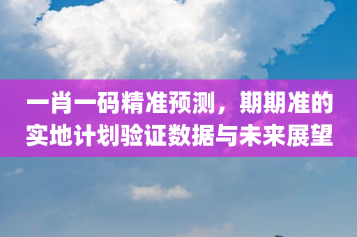 一肖一码精准预测，期期准的实地计划验证数据与未来展望