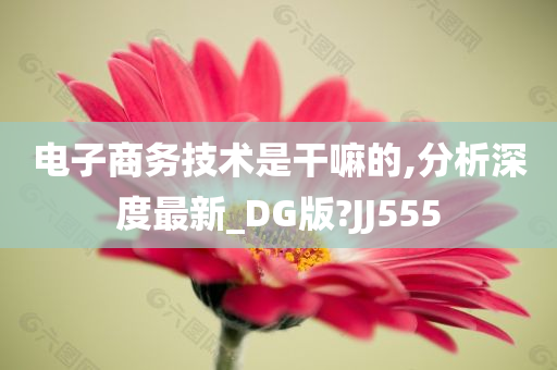 电子商务技术是干嘛的,分析深度最新_DG版?JJ555