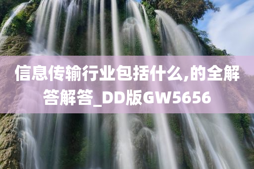 信息传输行业包括什么,的全解答解答_DD版GW5656