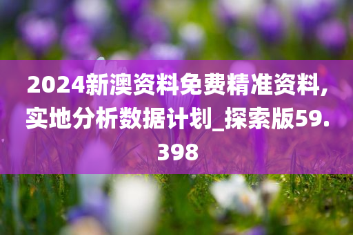 2024新澳资料免费精准资料,实地分析数据计划_探索版59.398