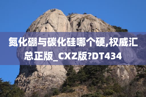 氮化硼与碳化硅哪个硬,权威汇总正版_CXZ版?DT434