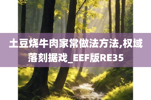 土豆烧牛肉家常做法方法,权域落刻据戏_EEF版RE35