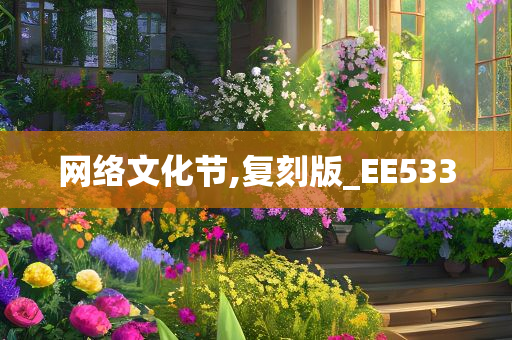 网络文化节,复刻版_EE533