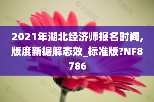 2021年湖北经济师报名时间,版度新据解态效_标准版?NF8786