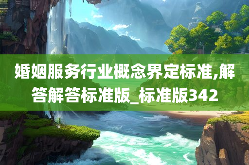 婚姻服务行业概念界定标准,解答解答标准版_标准版342