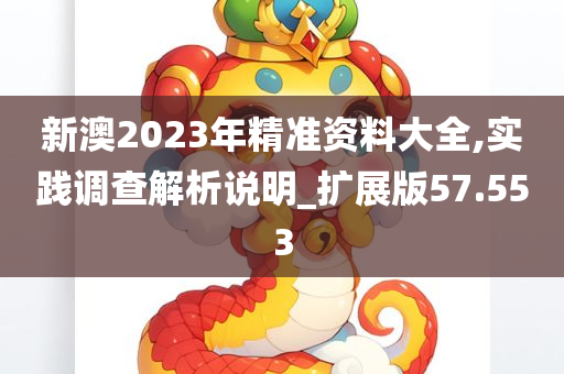 新澳2023年精准资料大全,实践调查解析说明_扩展版57.553