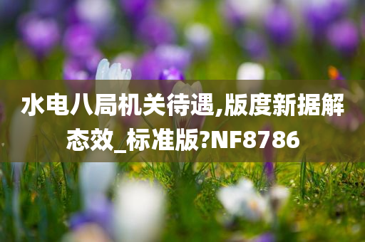 水电八局机关待遇,版度新据解态效_标准版?NF8786