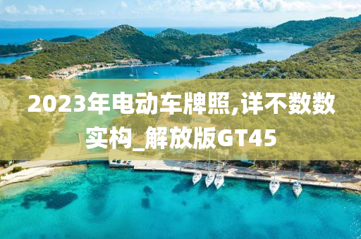 2023年电动车牌照,详不数数实构_解放版GT45