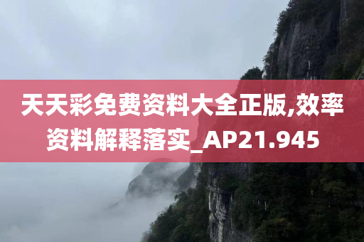 天天彩免费资料大全正版,效率资料解释落实_AP21.945