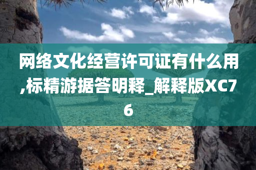 网络文化经营许可证有什么用,标精游据答明释_解释版XC76