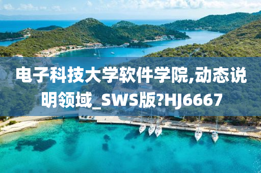 电子科技大学软件学院,动态说明领域_SWS版?HJ6667