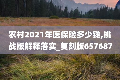 农村2021年医保险多少钱,挑战版解释落实_复刻版657687