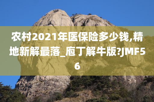 农村2021年医保险多少钱,精地新解最落_庖丁解牛版?JMF56