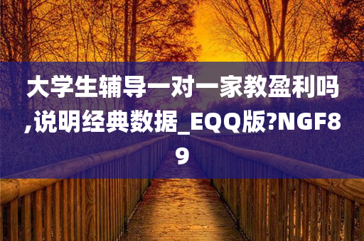 大学生辅导一对一家教盈利吗,说明经典数据_EQQ版?NGF89