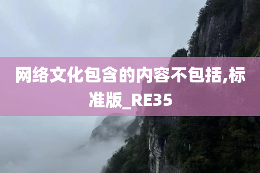 网络文化包含的内容不包括,标准版_RE35