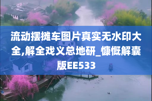 流动摆摊车图片真实无水印大全,解全戏义总地研_慷慨解囊版EE533