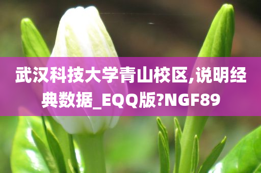 武汉科技大学青山校区,说明经典数据_EQQ版?NGF89