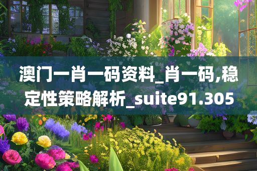 澳门一肖一码资料_肖一码,稳定性策略解析_suite91.305