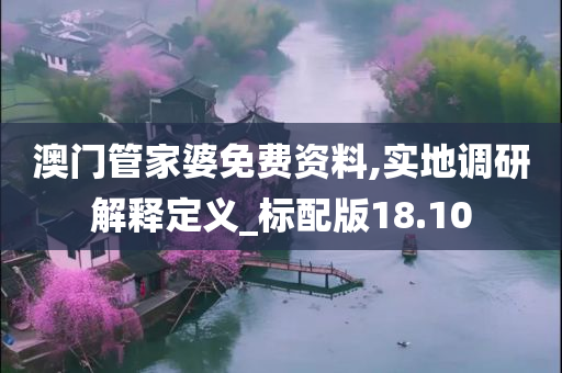 澳门管家婆免费资料,实地调研解释定义_标配版18.10