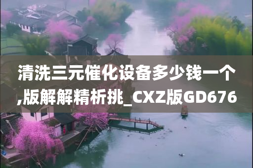 清洗三元催化设备多少钱一个,版解解精析挑_CXZ版GD676