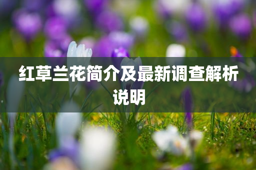 红草兰花简介及最新调查解析说明