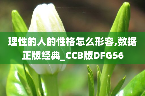 理性的人的性格怎么形容,数据正版经典_CCB版DFG56