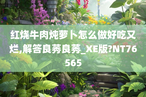 红烧牛肉炖萝卜怎么做好吃又烂,解答良莠良莠_XE版?NT76565