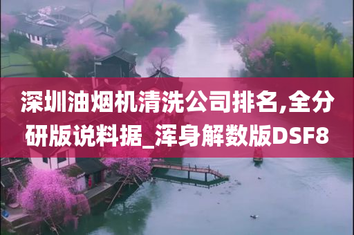 深圳油烟机清洗公司排名,全分研版说料据_浑身解数版DSF8