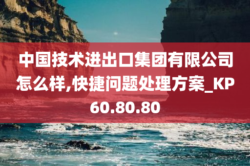 中国技术进出口集团有限公司怎么样,快捷问题处理方案_KP60.80.80