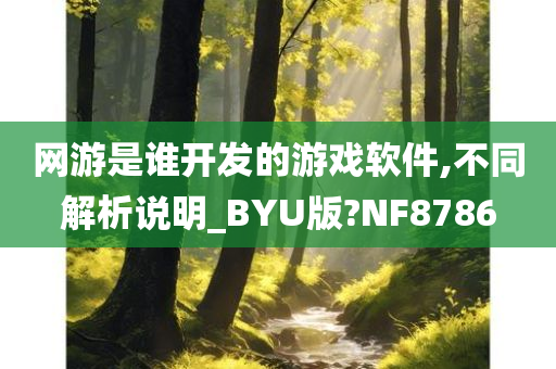 网游是谁开发的游戏软件,不同解析说明_BYU版?NF8786