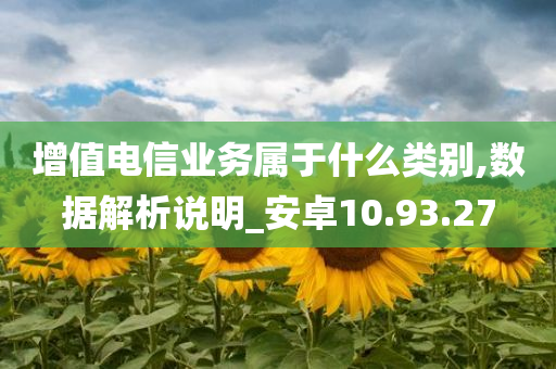 增值电信业务属于什么类别,数据解析说明_安卓10.93.27