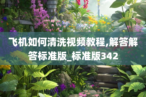 飞机如何清洗视频教程,解答解答标准版_标准版342