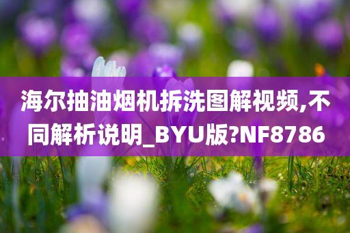 海尔抽油烟机拆洗图解视频,不同解析说明_BYU版?NF8786