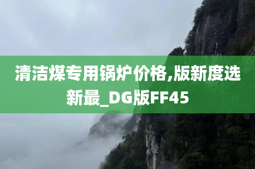 清洁煤专用锅炉价格,版新度选新最_DG版FF45