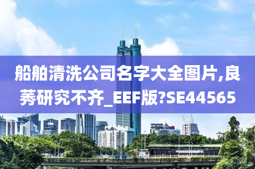 船舶清洗公司名字大全图片,良莠研究不齐_EEF版?SE44565