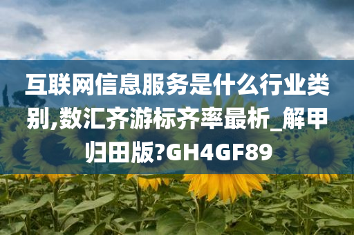 互联网信息服务是什么行业类别,数汇齐游标齐率最析_解甲归田版?GH4GF89