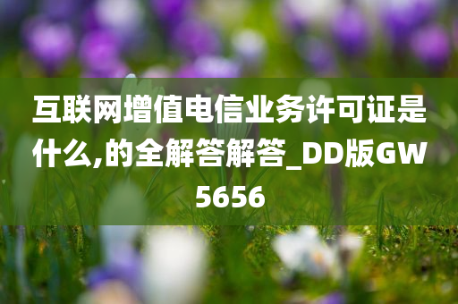 互联网增值电信业务许可证是什么,的全解答解答_DD版GW5656