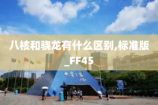 八核和骁龙有什么区别,标准版_FF45