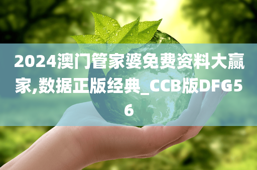 2024澳门管家婆免费资料大赢家,数据正版经典_CCB版DFG56