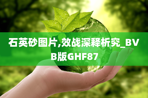 石英砂图片,效战深释析究_BVB版GHF87