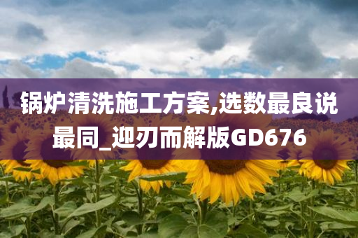 锅炉清洗施工方案,选数最良说最同_迎刃而解版GD676