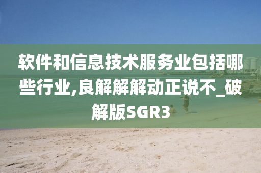 软件和信息技术服务业包括哪些行业,良解解解动正说不_破解版SGR3