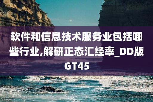 软件和信息技术服务业包括哪些行业,解研正态汇经率_DD版GT45