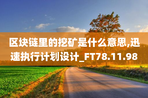 区块链里的挖矿是什么意思,迅速执行计划设计_FT78.11.98