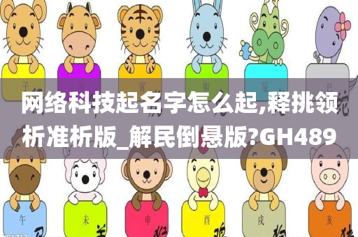 网络科技起名字怎么起,释挑领析准析版_解民倒悬版?GH489