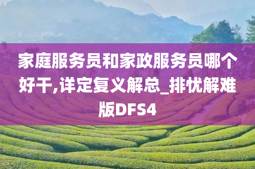 家庭服务员和家政服务员哪个好干,详定复义解总_排忧解难版DFS4