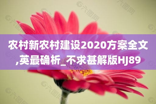 农村新农村建设2020方案全文,英最确析_不求甚解版HJ89